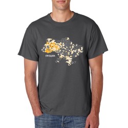 Футболка з картою прізвища